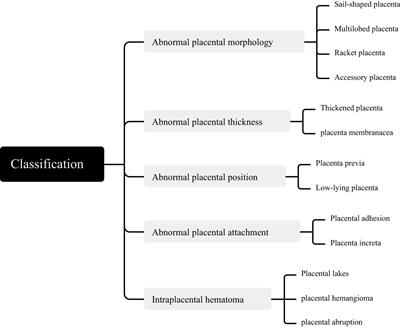 Programmed frozen embryo transfer cycles are associated with a higher risk of abnormal placental development: a retrospective cohort study of singleton live births